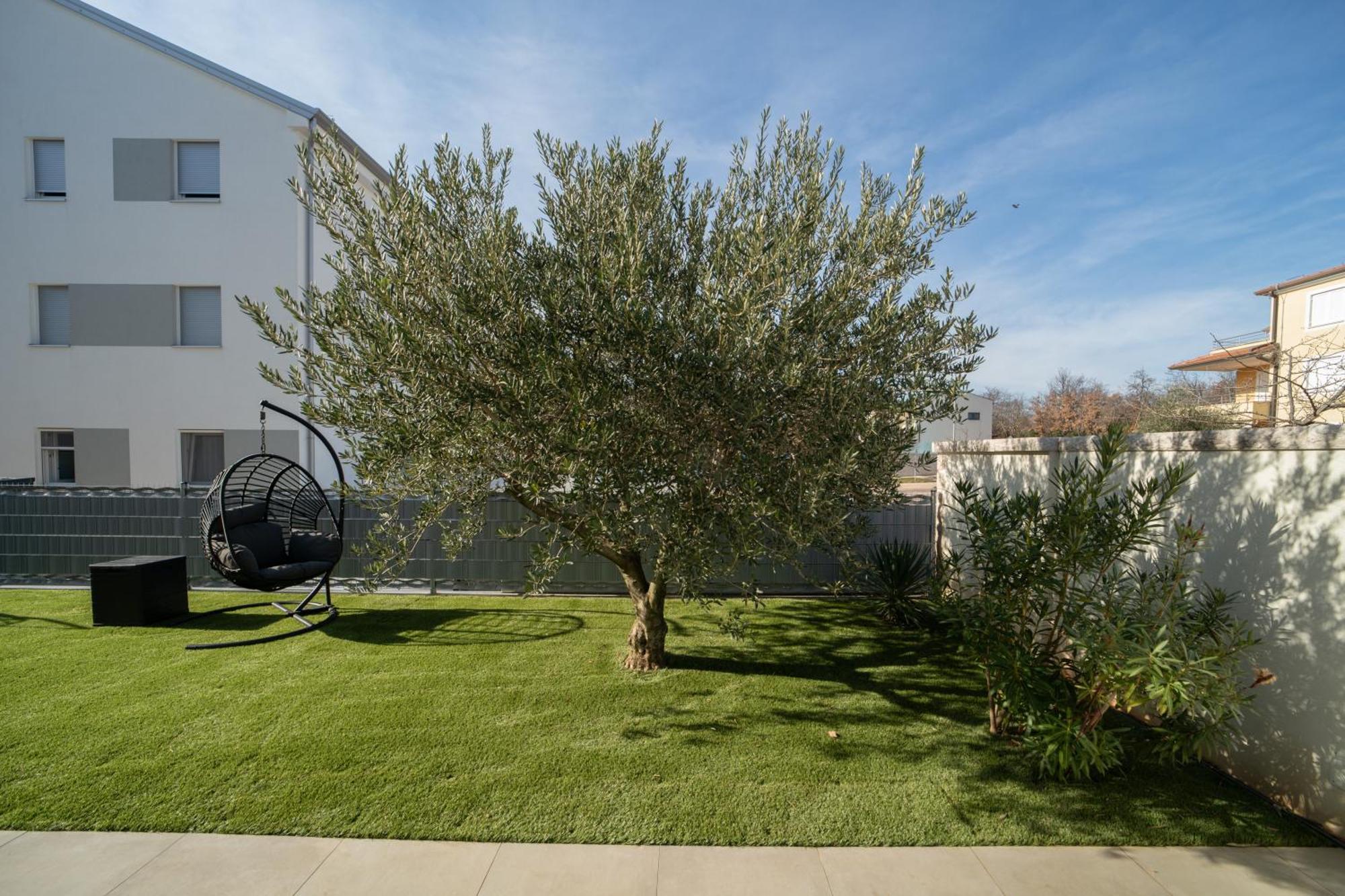 A&V Residence Novigrad Istria Rom bilde